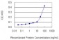 HLA-DPB1 Antibody (monoclonal) (M01)